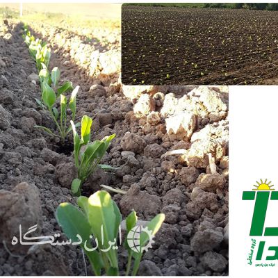 ماشین نشاکار
