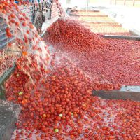 فروش خط تولید رب گوجه فرنگی بدون بسته بندی